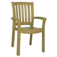 Sunshine Resin Dining Arm Chair Teak Brown ISP015-TEA