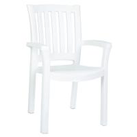 Sunshine Resin Dining Arm Chair ISP015-WHI
