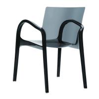 Dejavu Polycarbonate Arm Chair Transparent Black ISP032-TBLA - 1