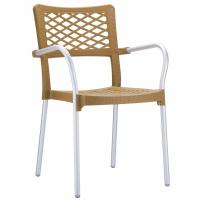 Bella Dining Arm Chair Teak ISP040-TEA