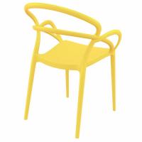 Mila Dining Arm Chair Yellow ISP085-YEL - 2
