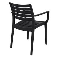 Artemis Resin Arm Chair Black ISP011-BLA - 1