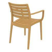 Artemis Resin Arm Chair Cafe Latte ISP011-TEA - 1