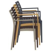 Artemis Resin Arm Chair Cafe Latte ISP011-TEA - 5