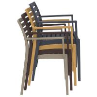 Artemis Resin Arm Chair Brown ISP011-BRW - 6