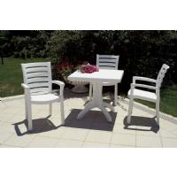 Marina Resin Dining Arm Chair White ISP016-WHI - 4