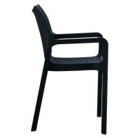 Diva Resin Outdoor Dining Arm Chair Black ISP028-BLA - 3