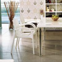 Dejavu Polycarbonate Arm Chair White ISP032-GWHI - 1