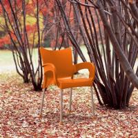 Romeo Resin Dining Arm Chair Orange ISP043-ORA - 3