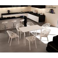 Crystal Polycarbonate Modern Dining Chair Transparent Black ISP052-TBLA - 6