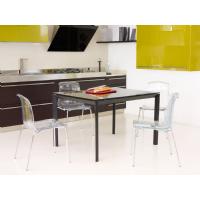 Allegra Indoor Dining Chair Transparent Black ISP057-TBLA - 12