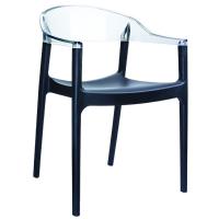 Carmen Dining Armchair Black with Transparent Back ISP059-BLA-TCL