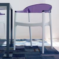 Carmen Dining Armchair White with Transparent Violet Back ISP059-WHI-TVIO - 6
