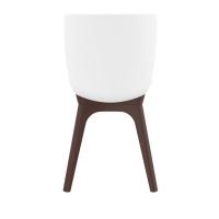 Mio PP Dining Chair Brown White ISP094-BRW-WHI - 4