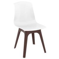 Allegra PP Dining Chair Brown with Glossy White Seat ISP096-BRW-GWHI