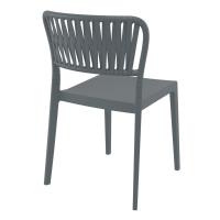 Portofino Side Chair Dark Gray ISP213-DGR - 1