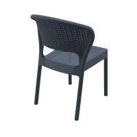 Daytona Wickerlook Resin Dining Chair Rattan Gray ISP818-DG - 1