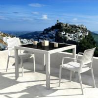 Capri Resin Wickerlook Arm Chair White ISP820-WH - 15