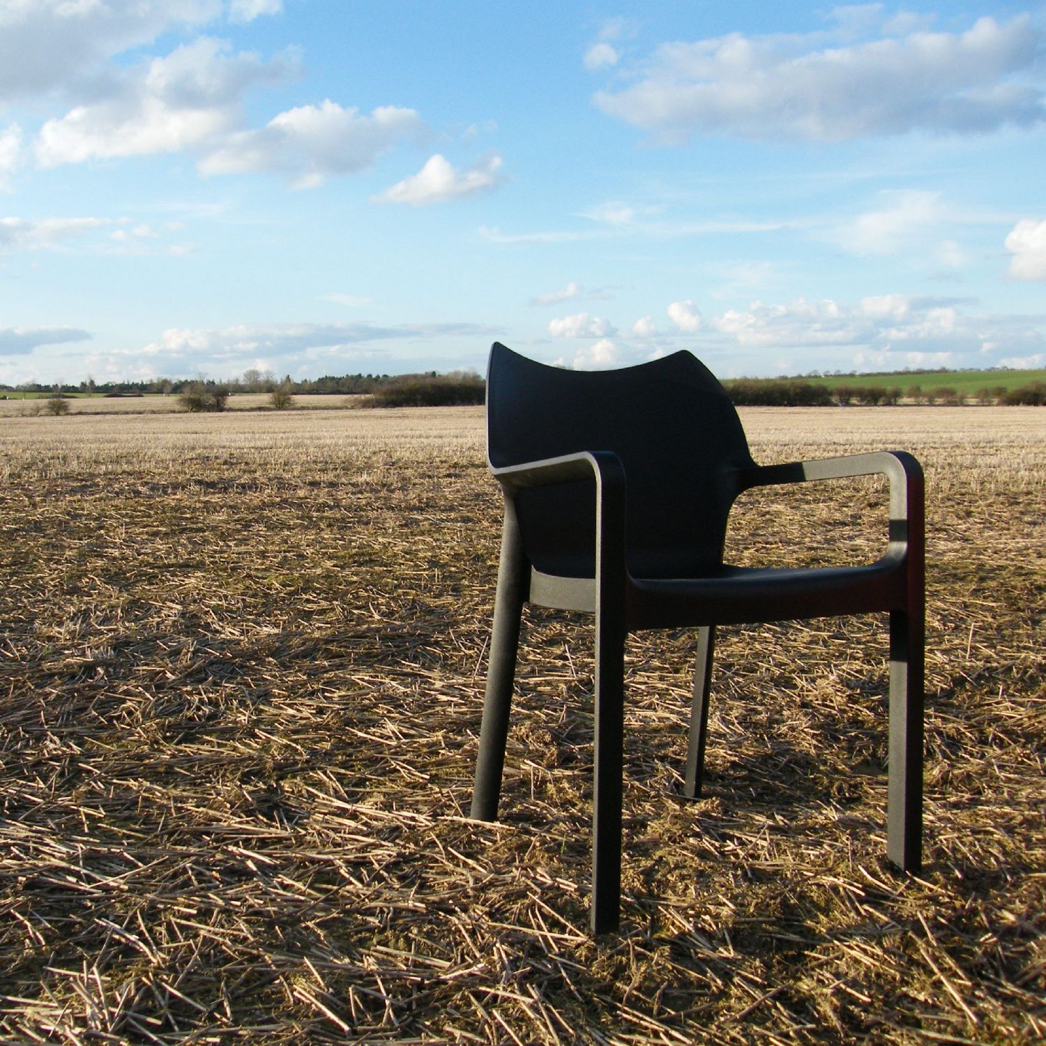 Diva Resin Outdoor Dining Arm Chair Black ISP028-BLA - 1